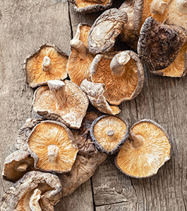 Funghi essiccati, come prepararli con l'essiccatore​!